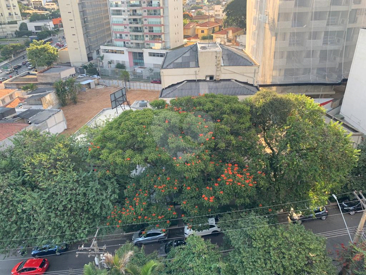 Foto REO1079651