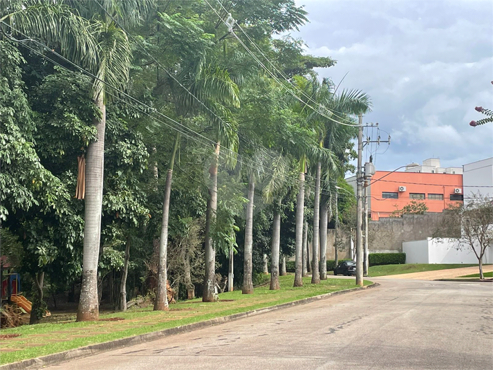 Foto REO1079652