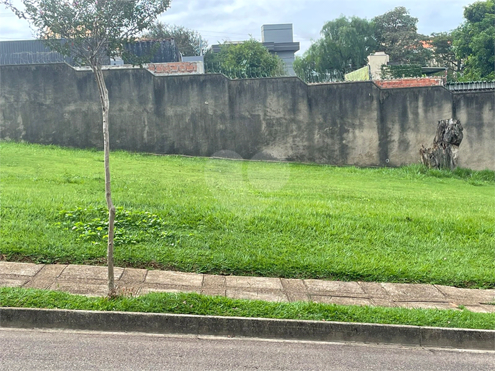 Foto REO1079652