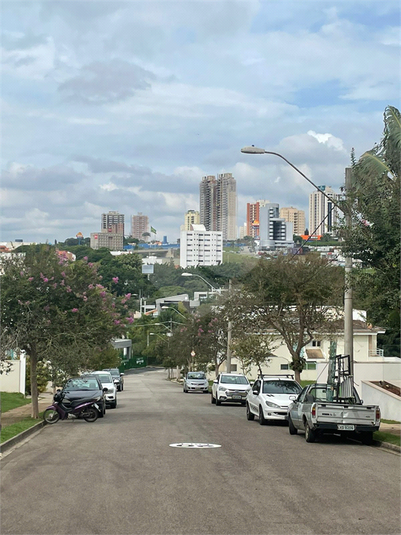 Foto REO1079652