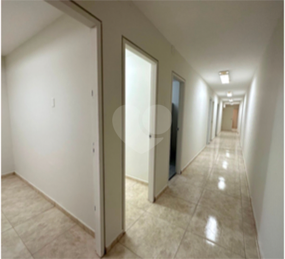 Foto REO1079656