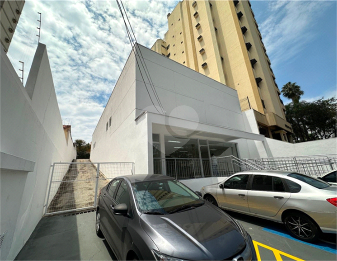 Foto REO1079656