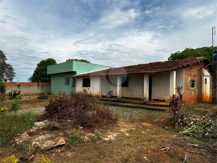 Foto REO1079663