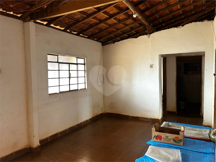 Foto REO1079663