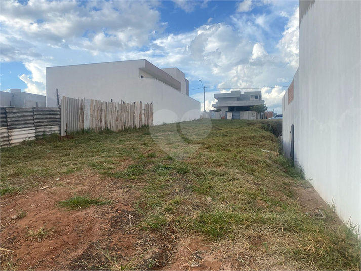 Foto REO1079678