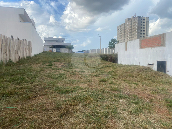 Foto REO1079678