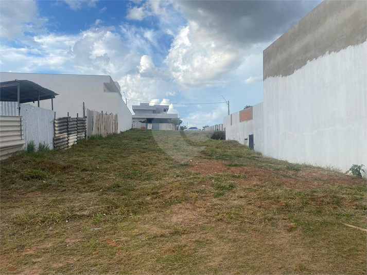 Foto REO1079678