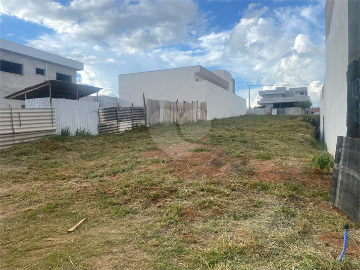 Foto REO1079678