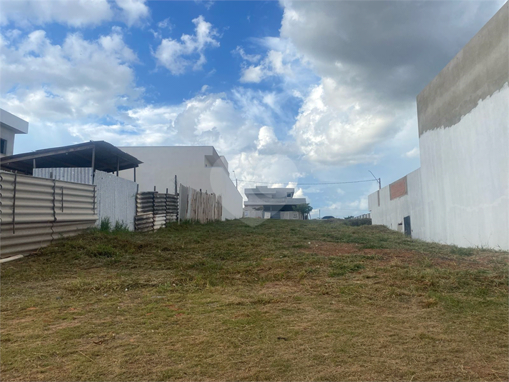 Foto REO1079678