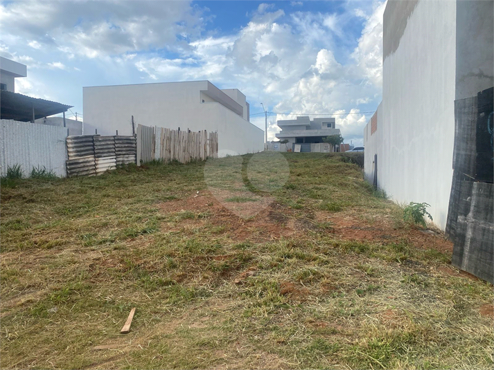 Foto REO1079678