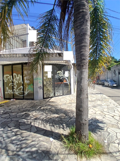 Foto REO1079679
