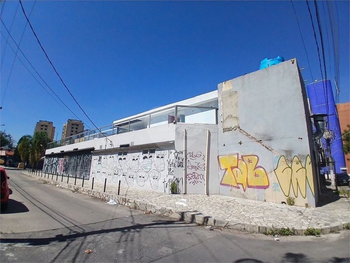 Foto REO1079682