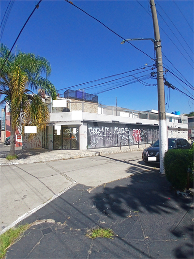 Foto REO1079682