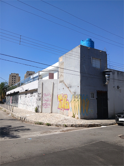 Foto REO1079682