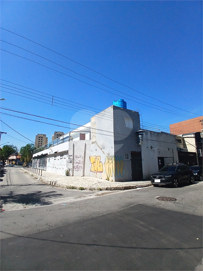 Foto REO1079682