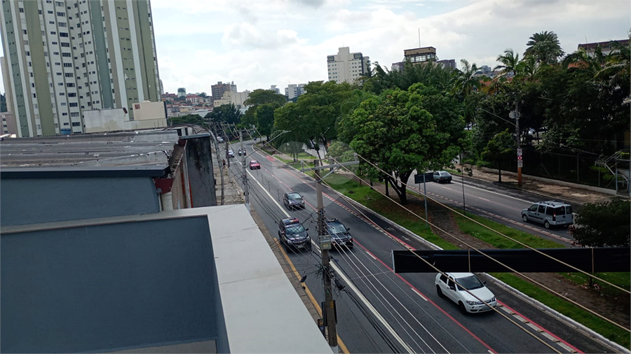 Foto REO1079689
