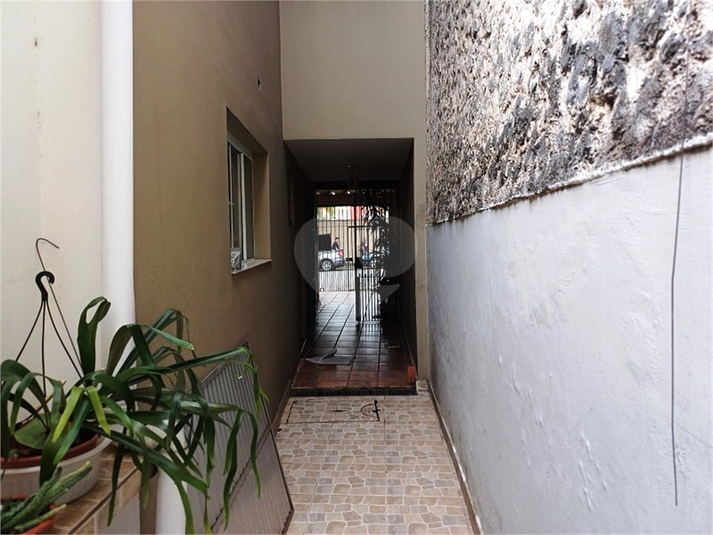 Foto REO1079695