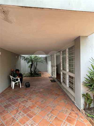 Foto REO1079700