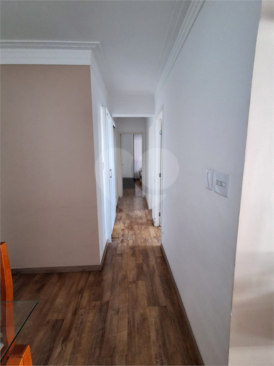 Foto REO1079707