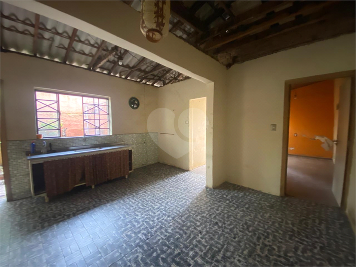 Foto REO1079718