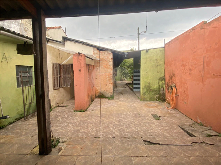 Foto REO1079718