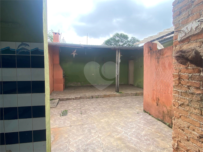 Foto REO1079718