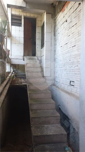 Foto REO1079739