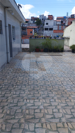 Foto REO1079760