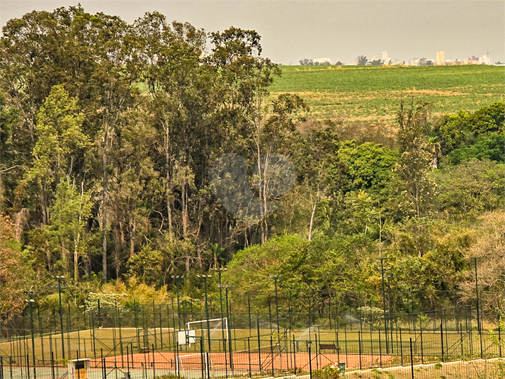 Foto REO1079769
