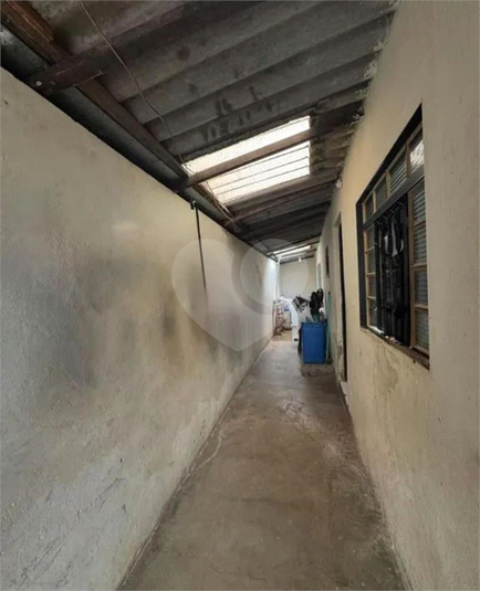 Foto REO1079777