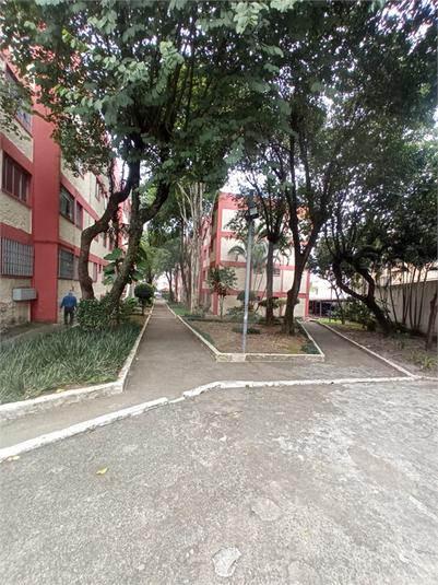 Foto REO1079779