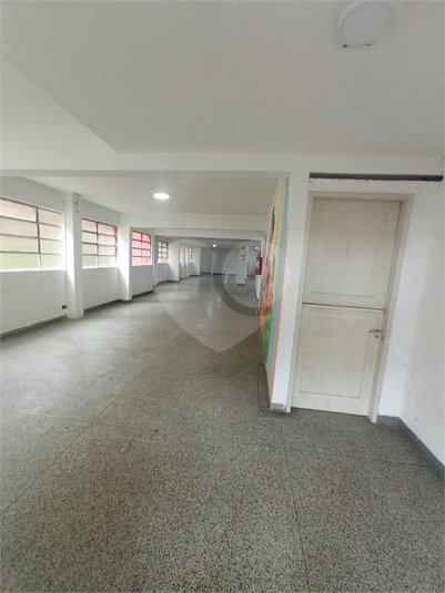 Foto REO1079779