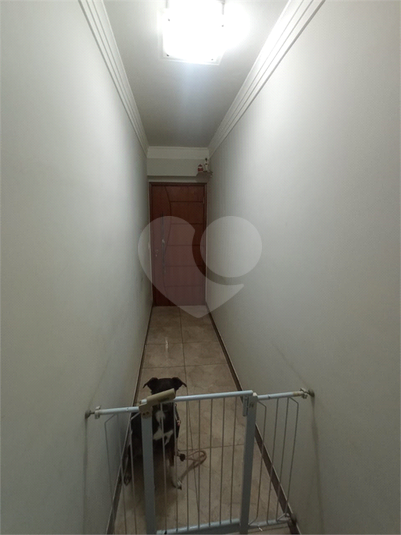 Foto REO1079779