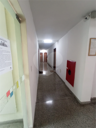 Foto REO1079779