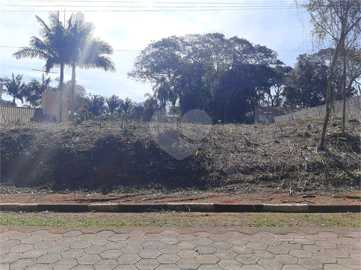 Foto REO1079785