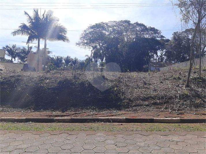 Foto REO1079785