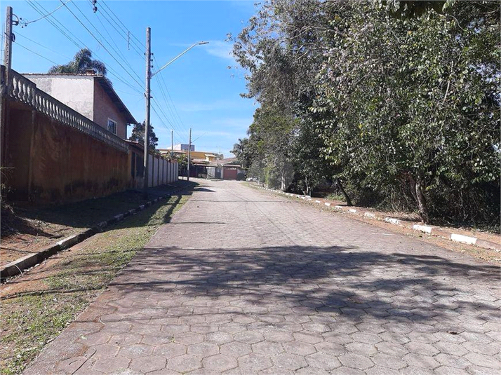 Foto REO1079785