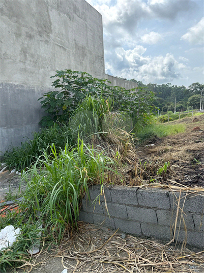 Foto REO1079789