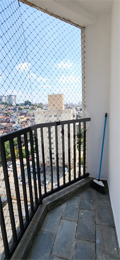 Foto REO1079805