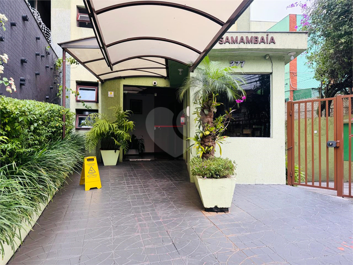 Foto REO1079814