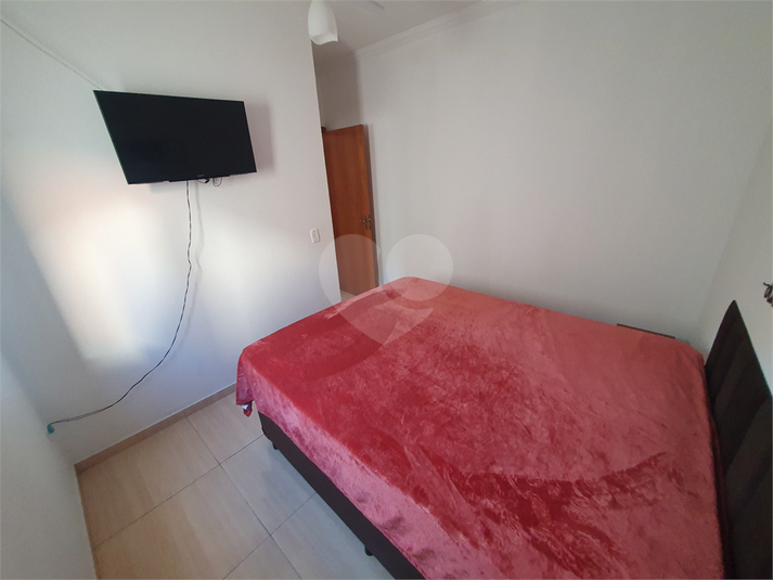 Foto REO1079846