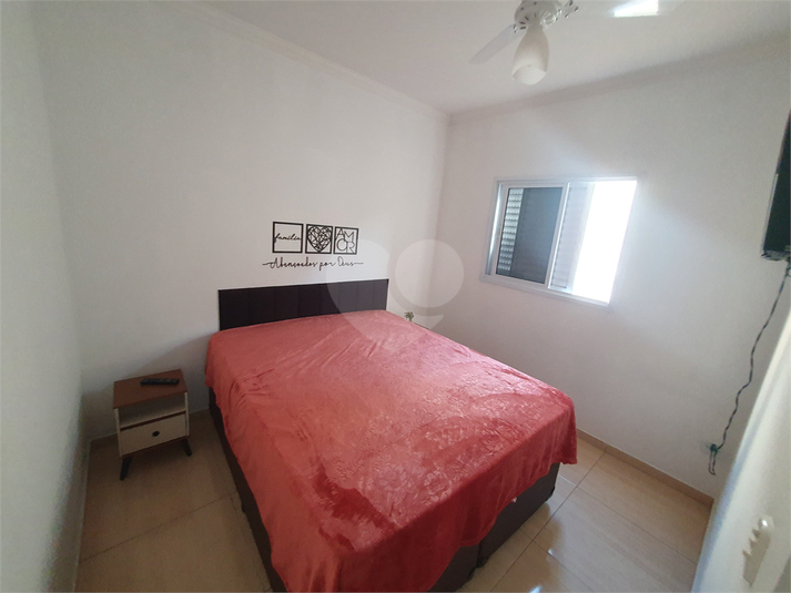 Foto REO1079846