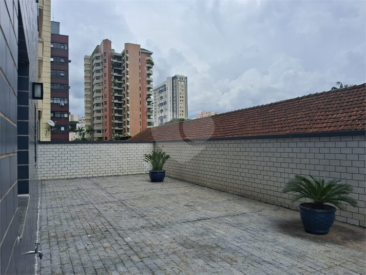 Foto REO1079848