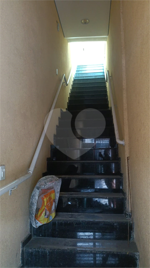 Foto REO1079856