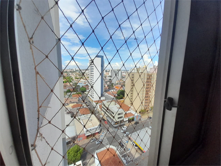 Foto REO1079857