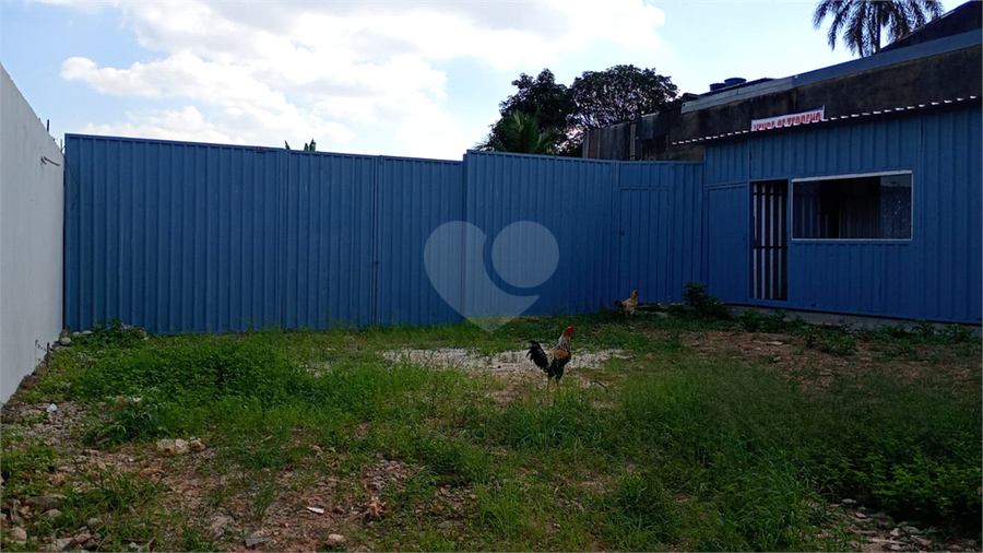 Foto REO1079862