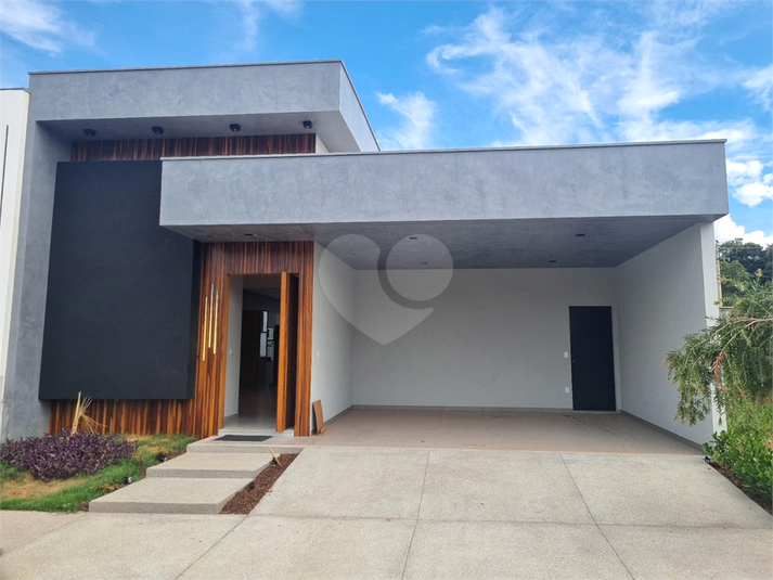 Foto REO1079884