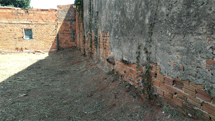 Foto REO1079894