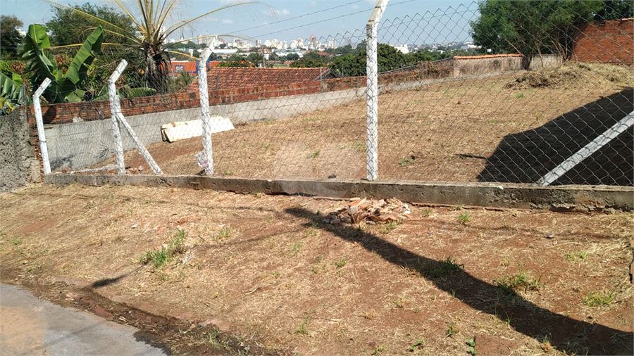 Foto REO1079894
