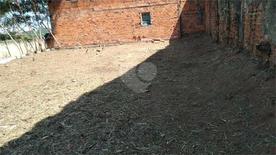 Foto REO1079894